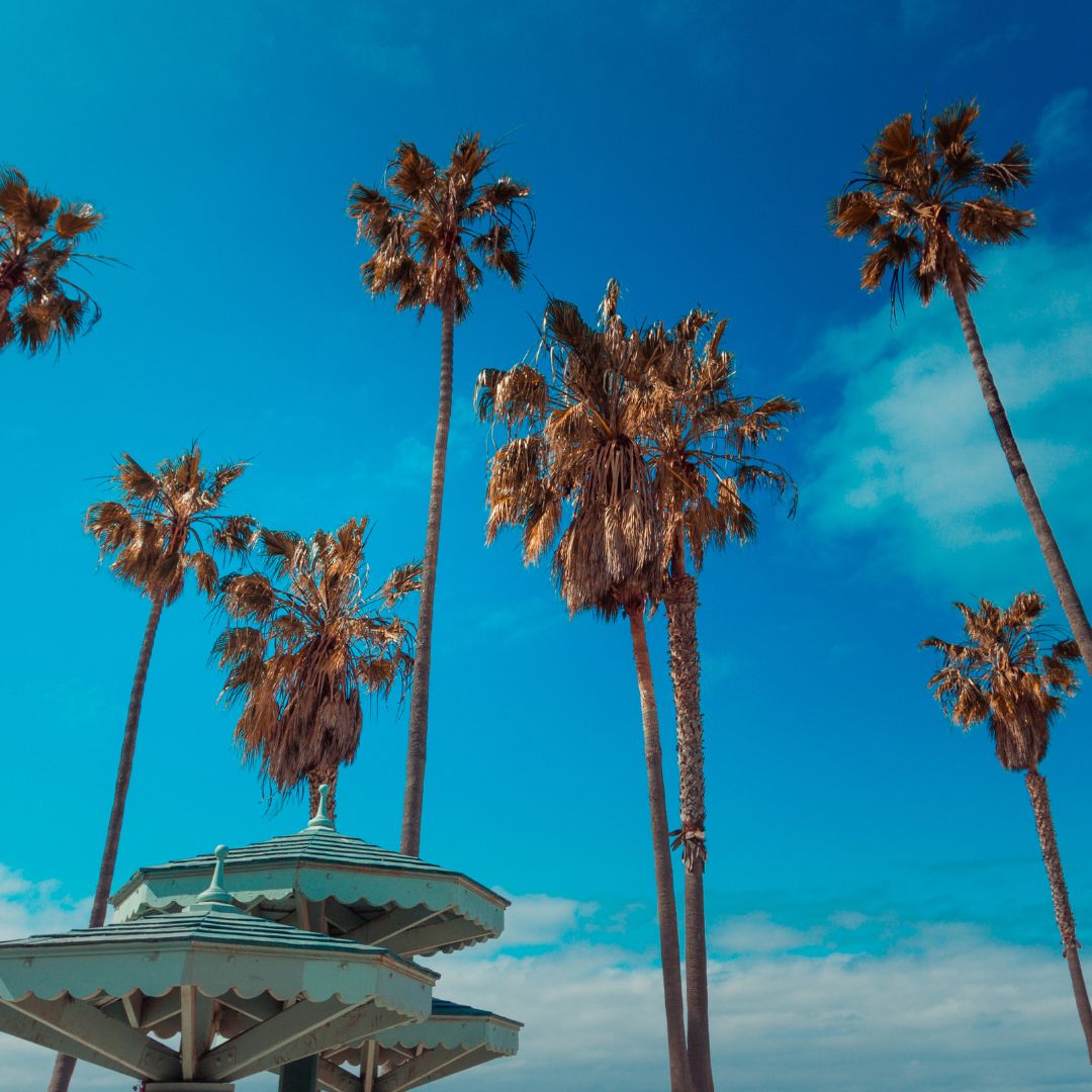 Los Angeles – California State University Long Beach